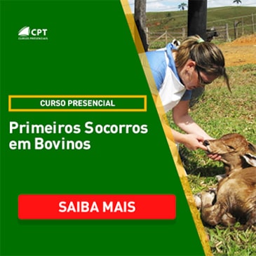 Curso Presencial de Primeiros Socorros em Bovinos