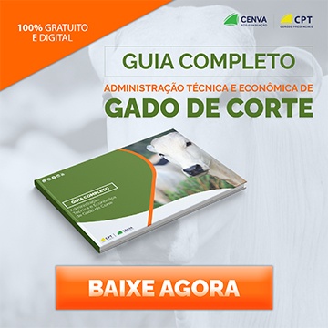 Ebook: Administração Técnica e Econômica de Gado de Corte