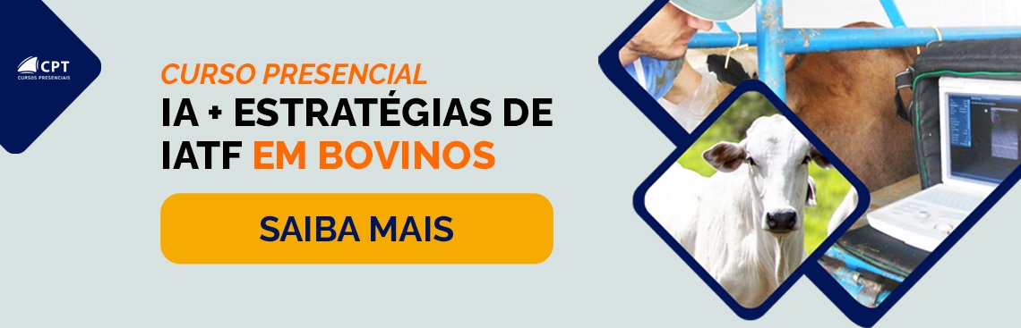 Curso de IA + Estratégias de IATF em Bovinos