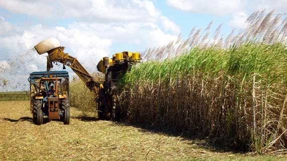 Agroindústria canavieira - desafios e oportunidades