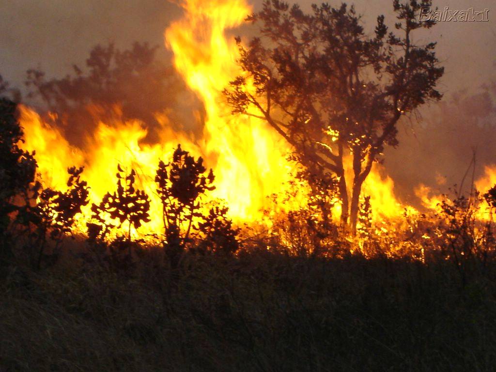 Evitar queimadas: bom para  o meio ambiente e para o produtor rural