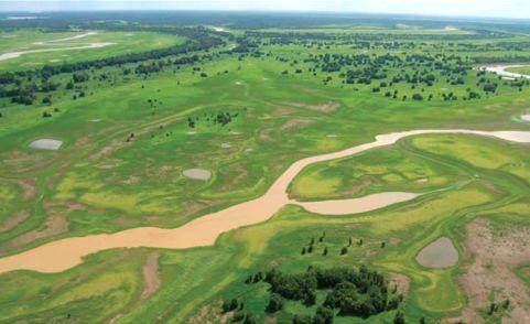 Floresta amazônica pode virar savana, diz estudo do Banco Mundial