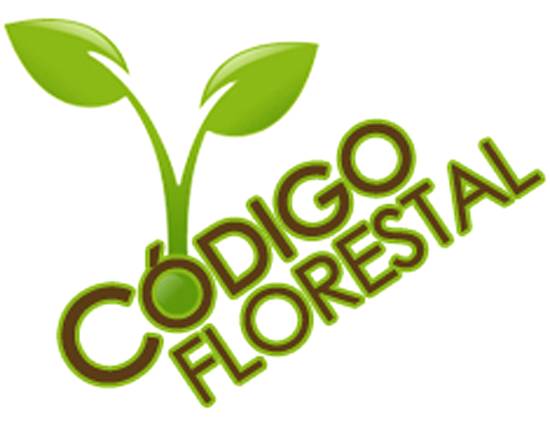 O código florestal. Saiba o que é e como está afetando a vida dos produtores