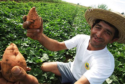 Agricultura brasileira está com a faca e o queijo na mão
