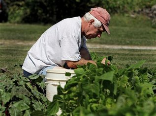 Parabéns a todos os agricultores!