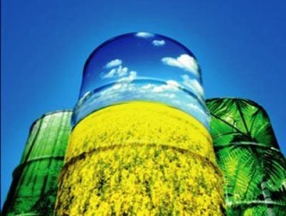 Equipamento de baixo custo para produção de biodiesel