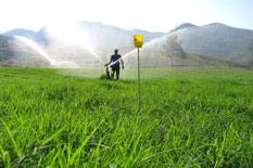 Curso de Irrigação e Manejo de Pastagens