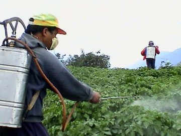 Brasil, o maior consumidor de defensivos agrícolas do mundo, um fato bom ou ruim?