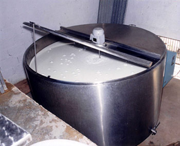 Investimento em fabricação de ração reduz custo de produção de leite