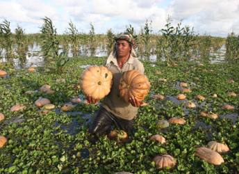 Agricultor prejudicado por enchentes terá seguro desemprego 