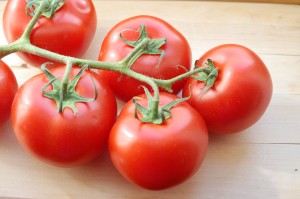 Tomates ensacados no pé