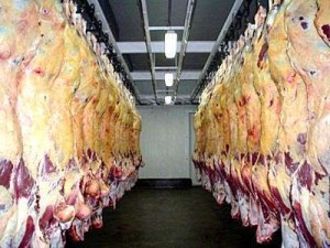 carne bovina 