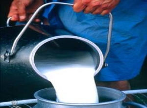 Preço do leite pode ter reajuste em março