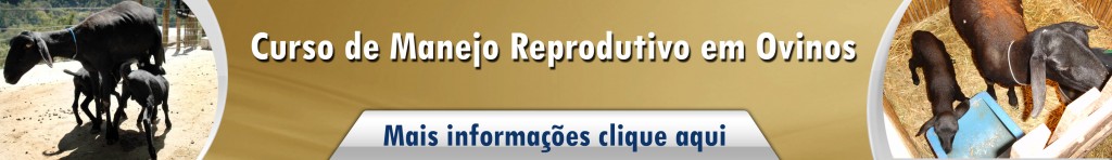 Manejo Reprodutivo em Ovinos