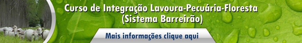 Integração Lavoura-Pecuária-Floresta (Sistema Barreirão)