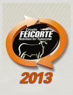 feicorte 2013