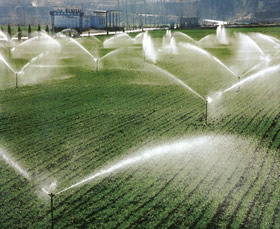 Projetos de sistemas de irrigação -  Garantia de produção econômica das culturas