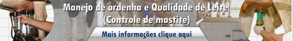 manejo e ordenha da qualidade de leite