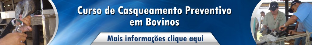 Casqueamento preventivo em bovinos