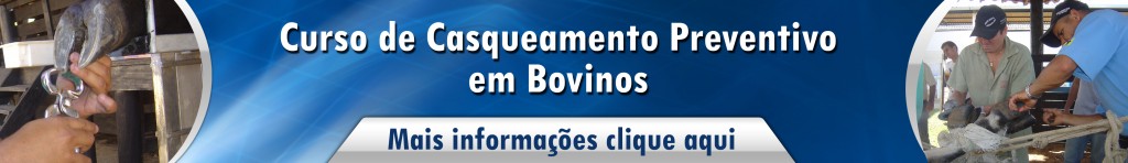 Casqueamento preventivo em bovinos