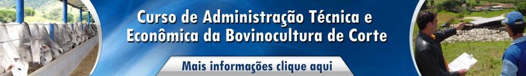 ADM bovinocultura de corte