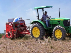 curso-de-producao-de-milho-no-sistema-de-plantio-direto