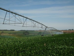 Aprovado desconto de energia para agricultura irrigada e aqüicultura