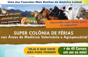 colônia de férias