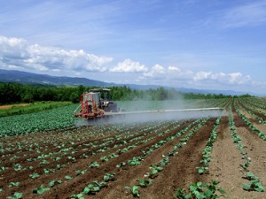 baixa nos preços do fertilizante