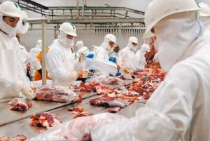 Governo brasileiro quer contestar na OMC restrições da carne bovina