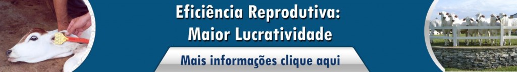 eficiência reprodutiva - maior lucratividade