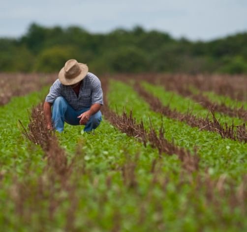 O processo administrativo no meio rural