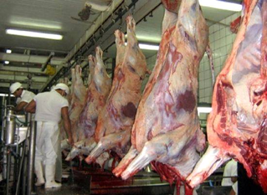Fatores que interferem na produção de carne bovina no Brasil