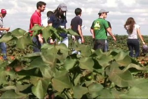 Programa Futuros Produtores do Brasil