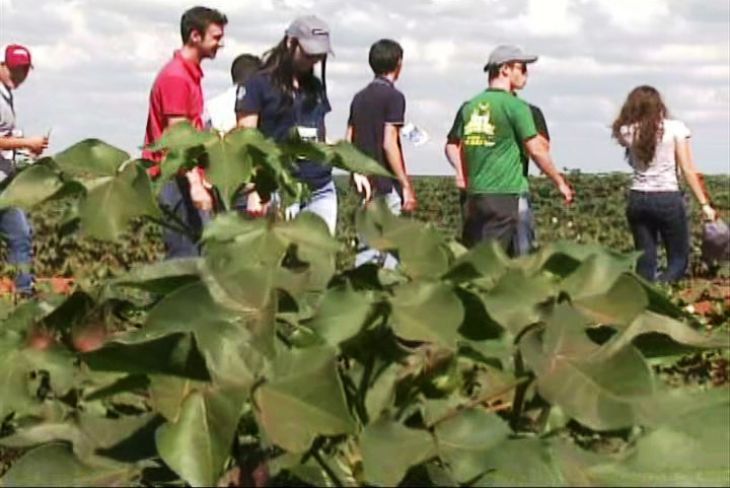 Vagas para jovens agricultores no Pronatec Agro