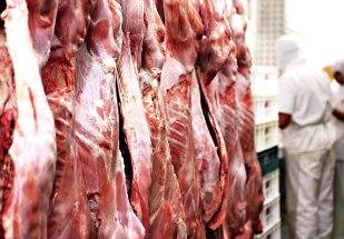Cresce exportação da carne bovina