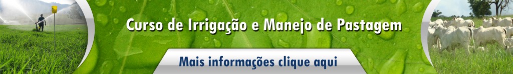 Irrigação e manejo de pastagem