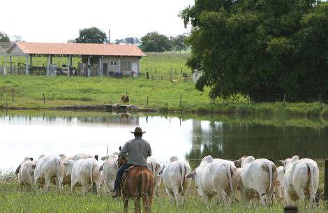 Como realizar um bom processo de administração rural