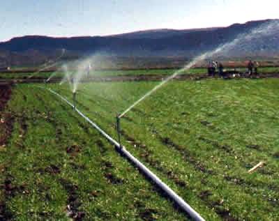 Método de irrigação por aspersão convencional