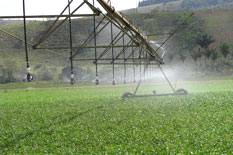 Principais sistemas de irrigação