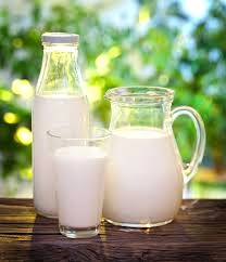 A importância do cálculo do custo do leite na produção