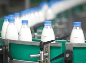 Cooperativas na produção de leite no Brasil