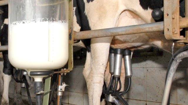 Relação da qualidade do leite com o sistema de produção e a estrutura para ordenha