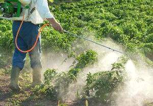 Venda de defensivos agrícolas deverá crescer nos próximos anos