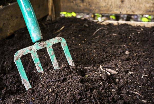 Adubo a partir da biomassa é produzido na Universidade Federal de Viçosa-MG