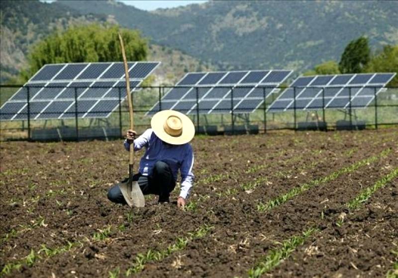 Agricultor do Ceará adota energia solar em sua propriedade