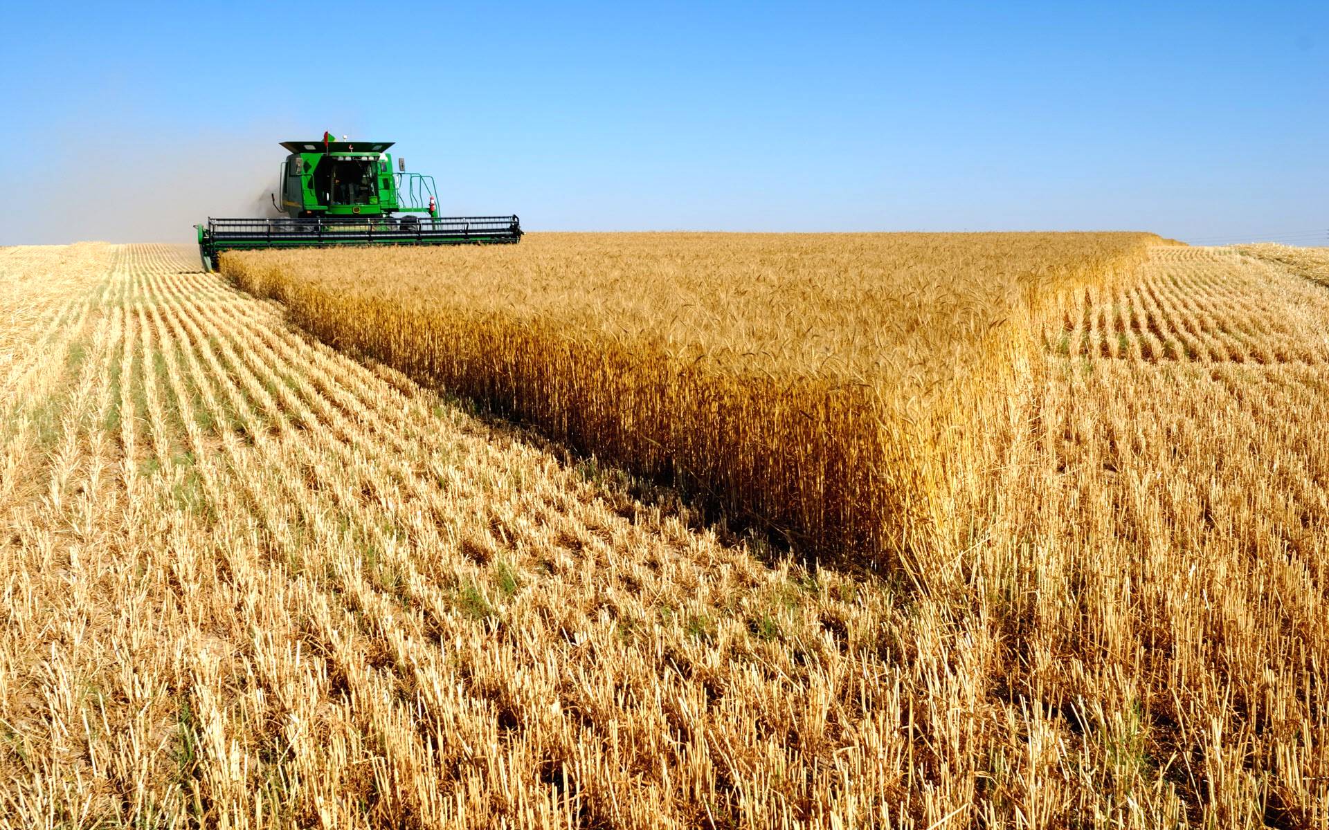 Crescem exportações do agronegócio brasileiro