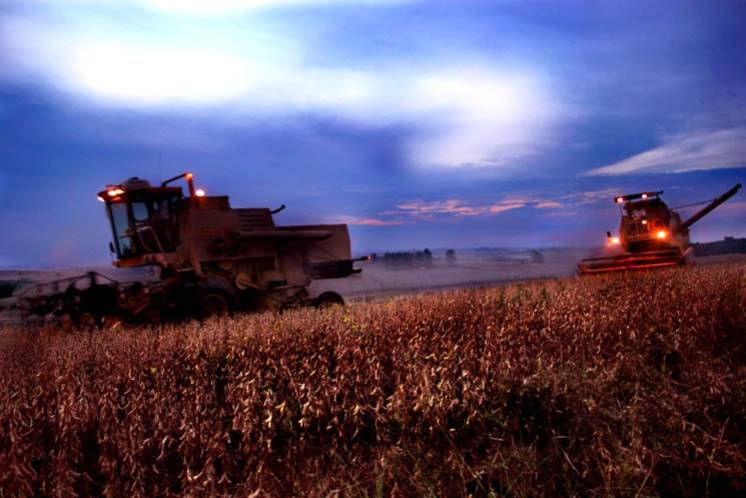 Governo divulga zoneamento agrícola das culturas de verão