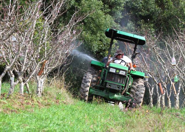 Película especial protege plantações de pragas e doenças