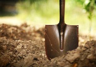 Preparo do solo é crucial para o sucesso de uma cultura